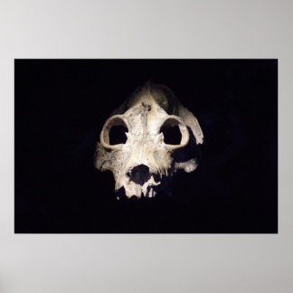 Poster Lémurien géant