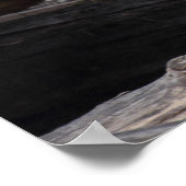 Poster Lémurienne Et Bébé (Coin)