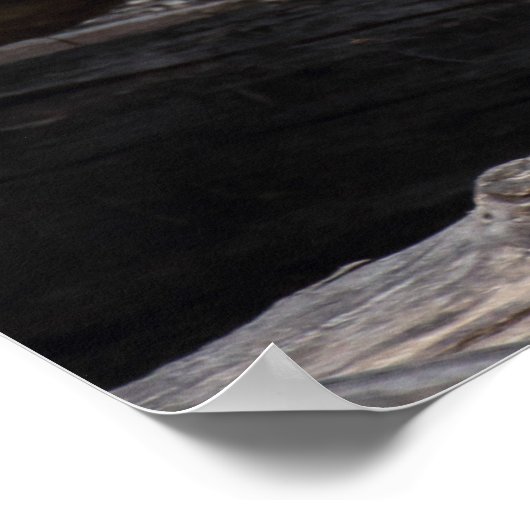 Poster Lémurienne Et Bébé (Coin)