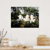 Poster Lémuriens à queue d'anneau se réchauffant au print (Cuisine)