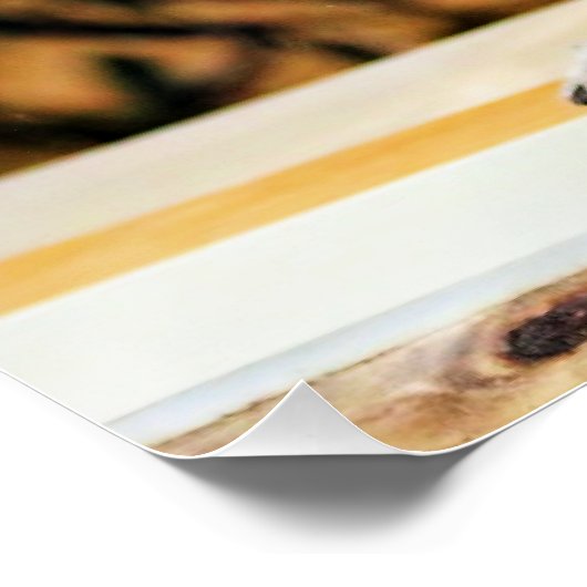 Poster Lémurs (Coin)