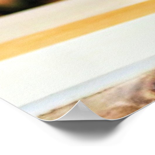 Poster Lémurs (Coin)