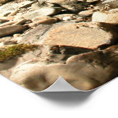 Poster L'Endroit Caché (Coin)