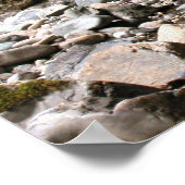 Poster L'Endroit Caché (Coin)