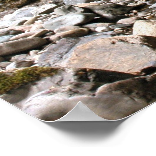 Poster L'Endroit Caché (Coin)