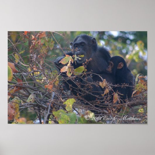 Poster L'enseignant (Devant)