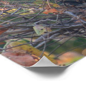 Poster L'enseignant (Coin)