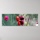 Poster L'ensemble du schéma des choses (Devant)