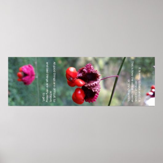 Poster L'ensemble du schéma des choses (Devant)