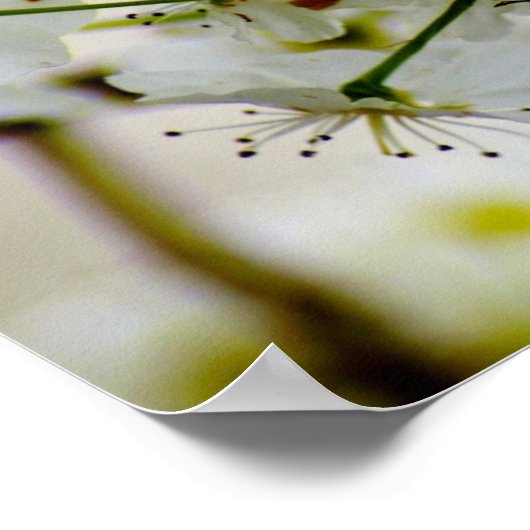 Poster lentetbomen (Hoek)