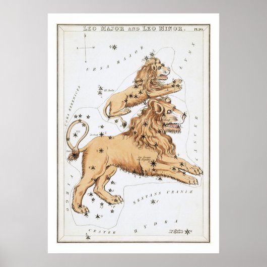 Poster Leo Astrologie Zodiac (Devant)