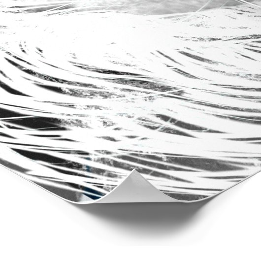 Poster Leo Traits (Coin)