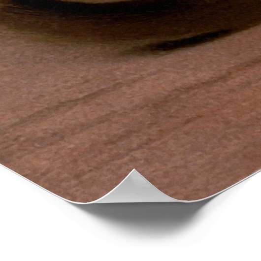 Poster Léon Bazille Perrault - Sleeper inconscient (Coin)