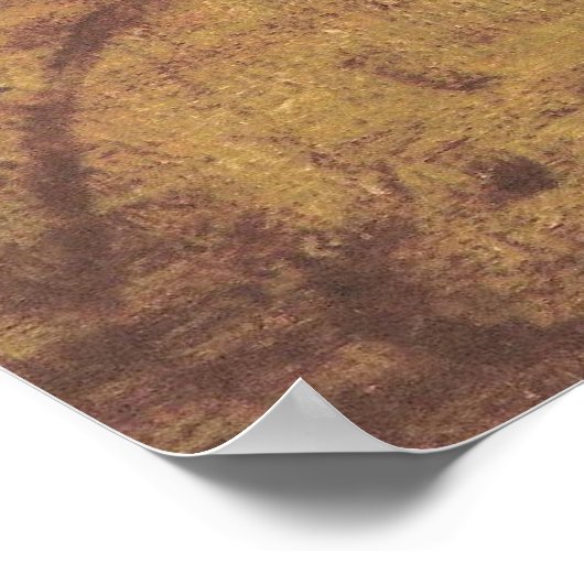 Poster Leonard de Vinci _ La Scapigliata (Coin)