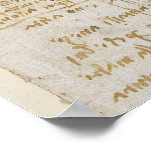 Poster Leonardo da Vinci (Coin)