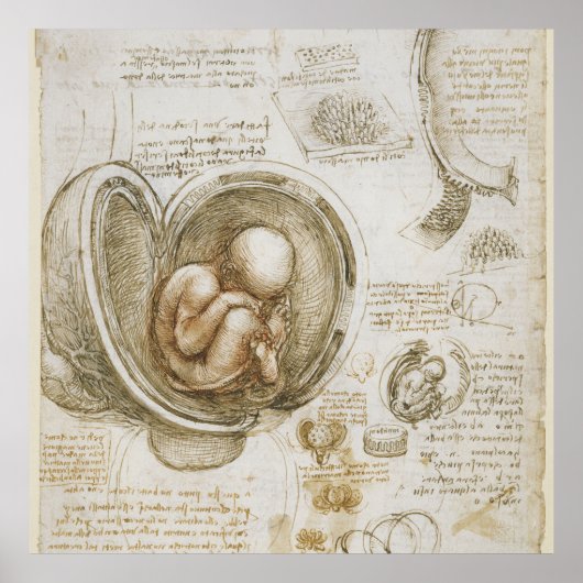 Poster Leonardo da Vinci (Devant)