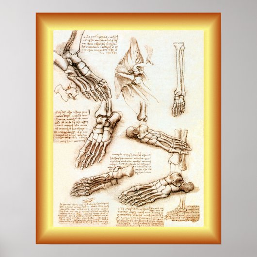 Poster Leonardo da Vinci ~ Anatomie des pieds ~ (Devant)