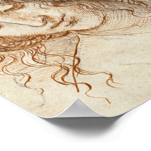 Poster Leonardo da Vinci - Chef de Leda (Coin)