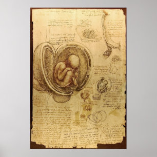 Poster Leonardo da Vinci - étude de l'anatomie