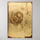 Poster Leonardo Da Vinci - Étude de l'anatomie (Devant)