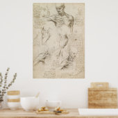Poster Leonardo dessin anatomique de l'épaule et du cou (Cuisine)