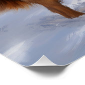 Poster Leonberger Qu'il neige Noël (Coin)