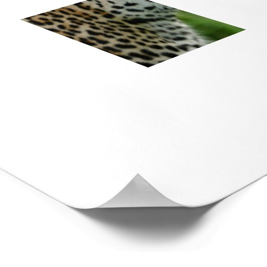 Poster Leopard (Hoek)