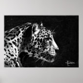 Poster Leopard (Devant)