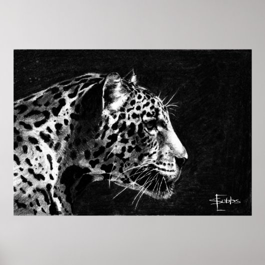 Poster Leopard (Devant)