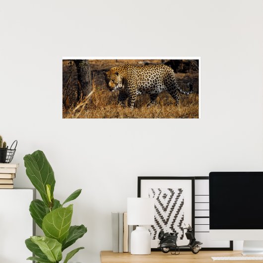 Poster Leopard (Bureau à domicile)