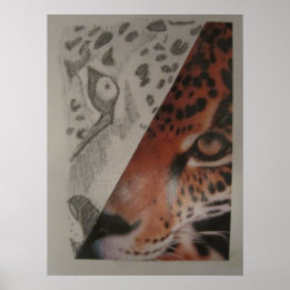 Poster leopard