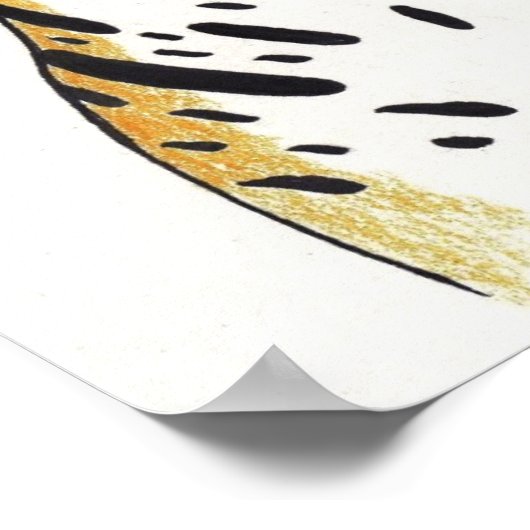 Poster Leopard (Coin)