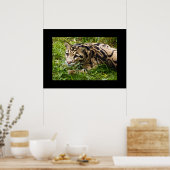 Poster leopard (Keuken)