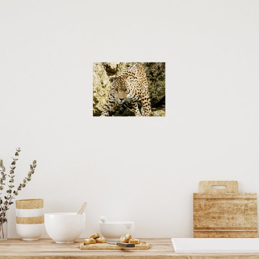 Poster Leopard (Cuisine)