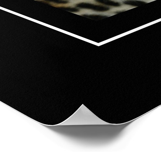 Poster Leopard (Coin)