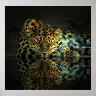 Poster leopard
