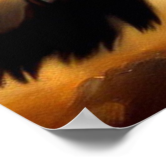 Poster Leopard (11) Chat sauvage (Coin)