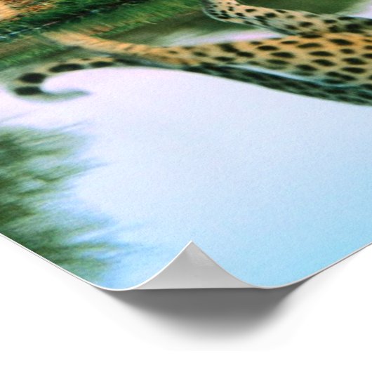 Poster Leopard à l'eau (Coin)