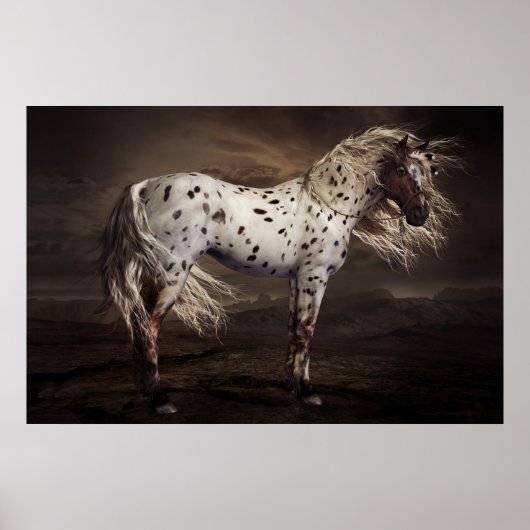 Poster Leopard Appaloosa (Voorkant)