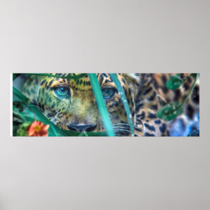 POSTER LEOPARD AUX YEUX VERTS FIXEUR