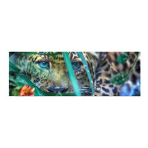 LEOPARD AUX YEUX VERTS FIXEUR