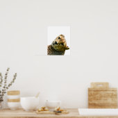 Poster Leopard cheetah sauvage jungle photo d'animal (Cuisine)