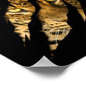 Poster Léopard Cheetah Tiger Léopard Face Lion Chat (Coin)