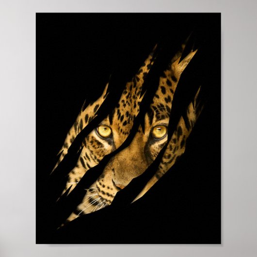 Poster Léopard Cheetah Tiger Léopard Face Lion Chat (Devant)