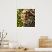 Poster Leopard dans un arbre (Cuisine)