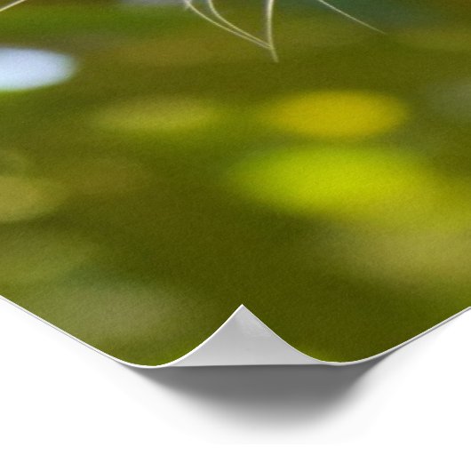 Poster Leopard dans un arbre (Coin)