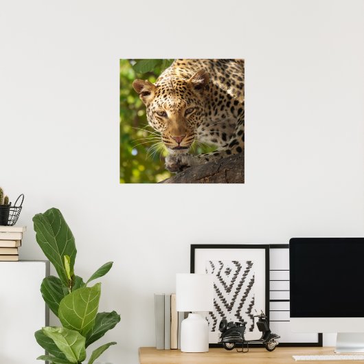 Poster Leopard dans un arbre (Bureau à domicile)