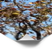 Poster Leopard dans un arbre en Afrique (Coin)