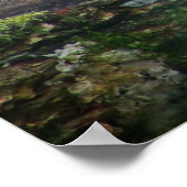 Poster Léopard De La Vie Sauvage Se Trouvant Sur Le Journ (Coin)