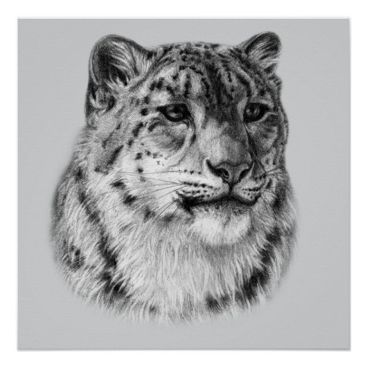 Poster Leopard De Neige À Main (Devant)